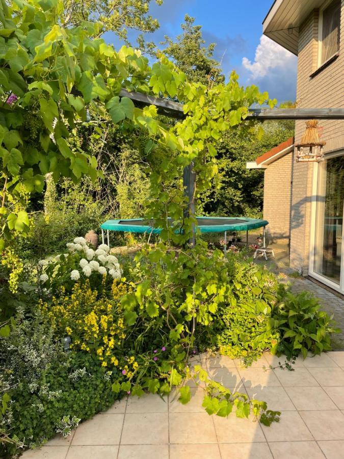 B&B Eibergen Met Prive Zwembad En Sauna Екстер'єр фото